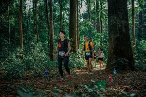 BIB: 
                            <button type="button" onclick="openModal(26129551)" class="btn btn-primary btn-sm float-right btn-popup" data-toggle="modal" data-target=".modal-high-quality">
                        <i class="fas fa-shopping-cart"></i> Add to Cart
                    </button>
                                            <button type="button" onclick="isThisMe(26129551, true)" class="btn btn-success btn-sm float-right btn-popup btn-isme hidden" data-toggle="tooltip" data-placement="bottom" title="นี่คือรูปของคุณใช่ไหม คลิกที่นี่เพื่อเอาเข้าอัลบั้ม">
                        <i class="fas fa-plus"></i> Add to album
                    </button>
                    <button type="button" onclick="isThisMe(26129551, false)" class="btn btn-warning btn-sm float-right btn-popup btn-isnotme hidden">
                        <i class="fas fa-ban"></i> Remove from album
                    </button>